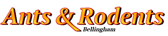 Bellingham Ant Exterminator & Rodent Control Company Logo